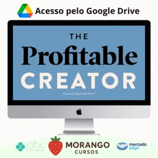 Imagem do rateio do curso The Profitable Creator - Melyssa Griffin [INGLÊS]