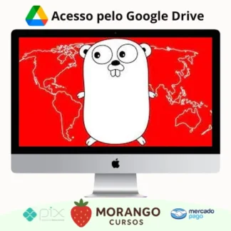 Imagem do rateio do curso Web Development With Go Programming Language - Todd Mcleod [Inglês]
