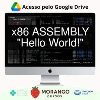 Imagem do rateio do curso X86 Assembly Programming - Lucas Mayrhofer [INGLÊS]