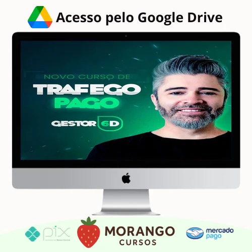 Imagem do rateio do curso Analista de Tráfego Pago - Silvio Roberto