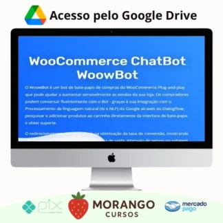 Imagem do rateio do curso ChatBot for WooCommerce WoowBot - v13.9.3