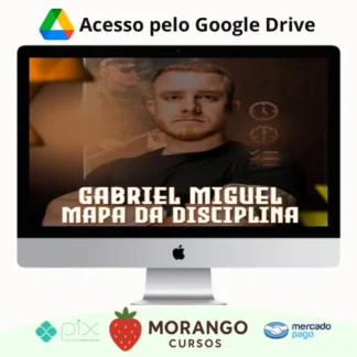 Imagem do rateio do curso Mapa da Disciplina - Gabriel Miguel