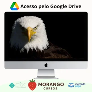 Imagem do rateio do curso Mentoria Águias Do Tiktok - Samuka