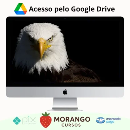 Imagem do rateio do curso Mentoria Águias Do Tiktok - Samuka