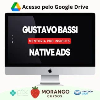 Imagem do rateio do curso Mentoria Pro Insights - Gustavo Bassi