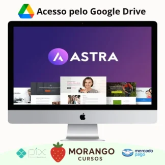 Imagem do rateio do curso Tema Astra Pro - BrainStorm WordPress Theme (Pack Completo)