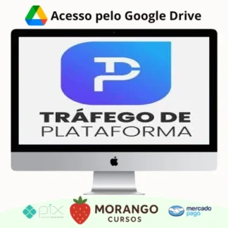 Imagem do rateio do curso Tráfego de Plataforma - Bárbara Bruna