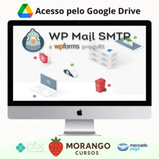 Imagem do rateio do curso WP Mail SMTP PRO - v4.1.1 - Plugin